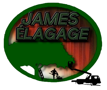 logo_james-removebg-preview (1)